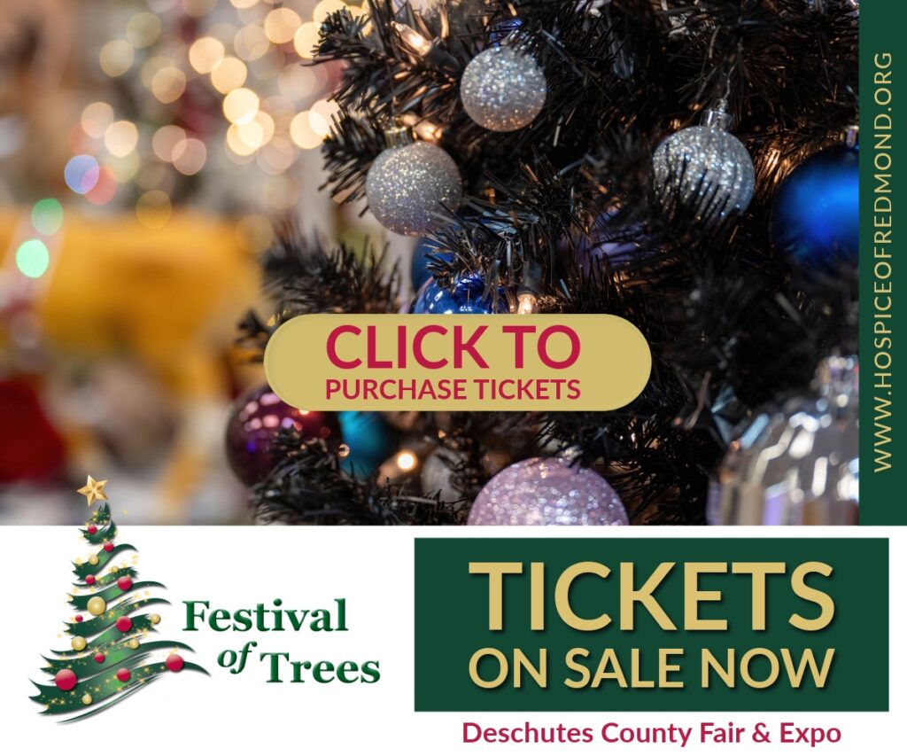 Festival 2025 banner